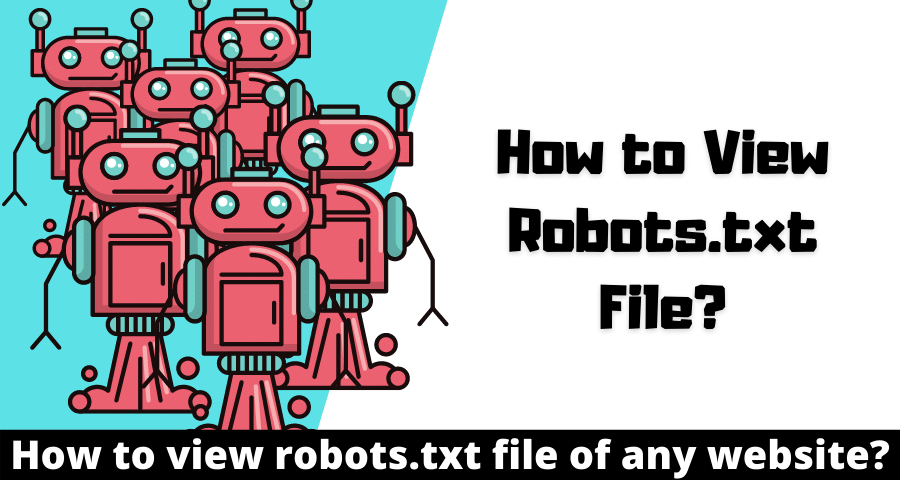 How to View Robots.txt file of any Website?