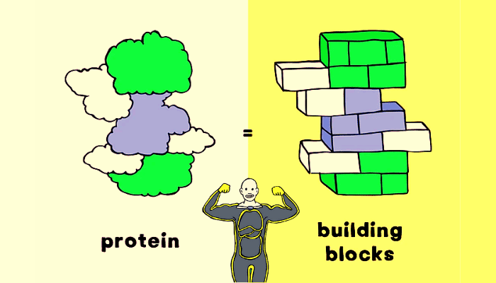 How to gain weight and muscle for skinny guys? (The healthy way)